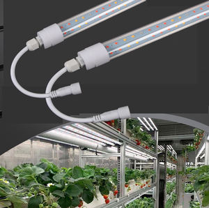 Impermeabile Led coltiva la luce per la coltura della piantina 60cm 120cm Full Spectrum T8 Led coltiva la luce per la fragola - Product Image 1