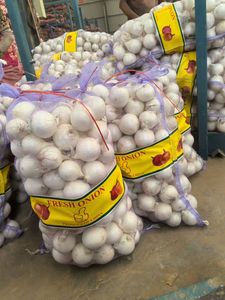 Semillas de Cebolla Blanca Híbrida F1 de Primera Calidad para Plantar, Alta Germinación, Semillas Frescas de Cebolla de Primavera para Agricultura - Product Image 3