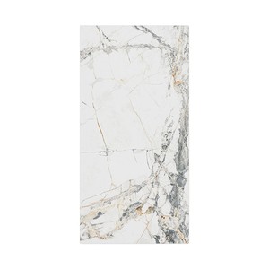 Piastrella Bianca Venecia 60 X 120 Cm 10 Mm Opaca Rettificata per Pavimento e Parete - Product Image 3
