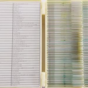 Tallo de alta calidad macerado de portaobjetos de vidrio de microscopio de calabaza portaobjetos de microscopio preparados - Product Image 6