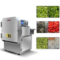 Elektrische motor automatische model 20 commerciële fruit- en groentesnijmachine voedselhakselaar voor komkommer- en aardappelverwerking