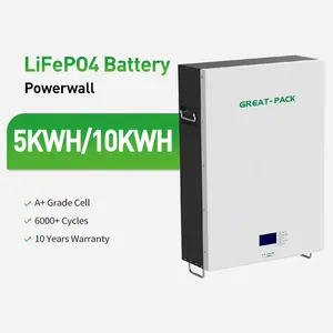 بسعر المصنع بطارية تخزين الطاقة الشمسية LiFePO4 بقدرة 48 فولت 200 أمبير/ساعة 10 كيلو وات بطاريات ليثيوم للاستخدام المنزلي