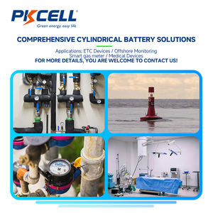 리튬이온 배터리 팩 ER34615-2 비충전식 리튬이온 배터리 팩 ER34615 - Product Image 4