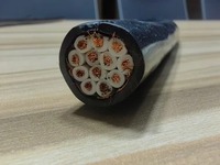 Kabel Listrik Industri Tegangan Rendah Inti Tembaga Ukuran Khusus