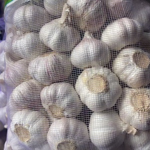 Aglio Fresco di Alta Qualità a Prezzo all'Ingrosso, Aglio Fresco Viola/Rosso/Bianco Naturale a Basso Costo - Product Image 6