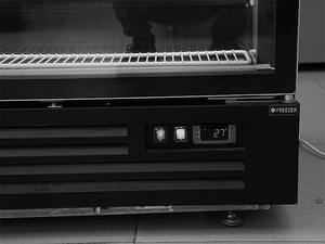 <span class=keywords><strong>Frigidaire</strong></span> réfrigérateur pepsi à double porte congélateur commercial congélateur 2 portes réfrigérateur refroidi par air - Product Image 6