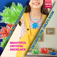 Fabricant de jouets ODM/OEM BIG BANG SCIENCE, kit de culture de cristaux personnalisé, jouet éducatif scientifique pour enfants, bricolage chimie