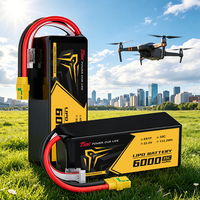 Batterie au lithium rechargeable 22,2 V 6000 mAh 6S Lipo Pouch Cell, décharge 35C, densité énergétique 350 Wh/kg, pour applications industrielles et agricoles