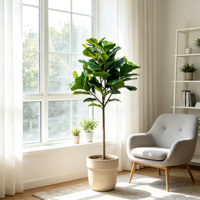 Plante artificielle Ficus lyrata très vendue, grande plante artificielle en pot pour la décoration intérieure de la maison et du bureau