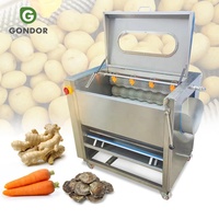 Fruit Kokosnoot Vlees Commerciële Eddy Leaf Wash Draagbare Automatische Wortelschil Gemberwasser Schilmachine
