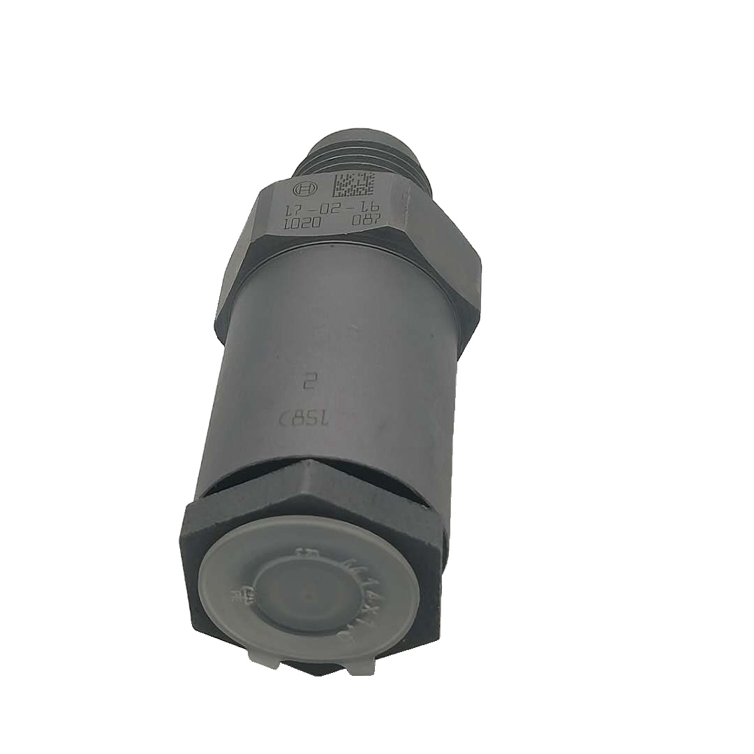 Common Rail Fuel Injection PLV 87347275 Pressure Limit Valve 1110010007 For Bosh 0445226016 0445226017