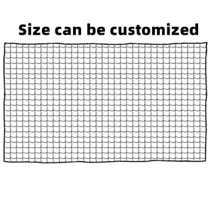 Lưới Tập Tennis Giảm Giá Lớn Lưới Thể Thao PP Cho Sân Chơi Ngoài Trời Lưới Giá Rẻ Rizhao Huifeng - Product Image 2
