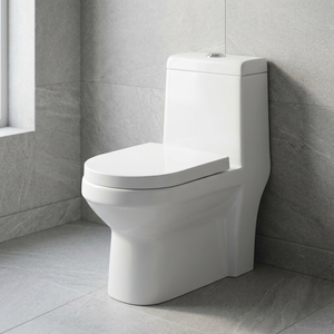 WC monobloc en céramique indienne à chasse d'eau, blanc, à poser au sol - Product Image 5