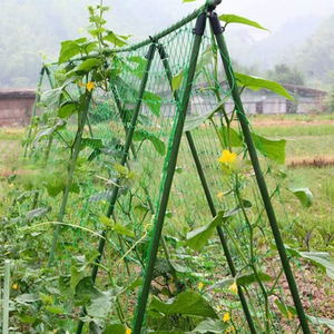 Filet de soutien <span class=keywords><strong>pour</strong></span> la croissance des plantes en serre, idéal <span class=keywords><strong>pour</strong></span> les vergers de cerises, raisins et fraises - Product Image 6