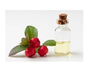 Aceite Esencial de Wintergreen para el Cuidado de la Piel, el Cabello y el Cuerpo, Ideal para Terapia de Masajes, Tratamiento de Spa, Relajación y Fortalecimiento del Cabello - Product Image 1