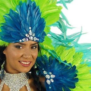 15-20cm Sewing Fabric Handmade Ribbon Goose Feather <strong>Fringe</strong> <strong>Trim</strong> for Cloth Dress Carnival Costume Hat Accessory Party Home Decor - Product Image 2