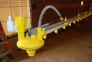 Regulador de ajuste de presión de agua para granja avícola de la mejor calidad para sistema de línea de agua potable de cría de pollos - Product Image 6