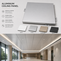 Panneau de plafond suspendu en aluminium ignifuge et imperméable, écologique et personnalisé, pour la décoration intérieure des hôtels et des centres commerciaux