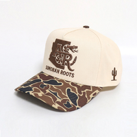 Op maat gemaakte geborduurde baseballcap 100% katoen, verstelbaar 58-60 cm, voor distributeurs en importeurs