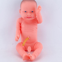Modelo Anatómico de Simulación para el Cuidado del Recién Nacido con Características de Cuidado del Cordón Umbilical, Ciencia Médica