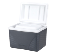 Ensemble de 3 glacières isothermes durables rayées ESKIMO PINNACLE PE