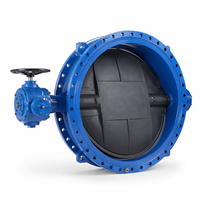 Vanne papillon de boîte de vitesses en fonte ductile de grand diamètre avec siège en caoutchouc pour équipement d'alimentation en eau et de drainage
