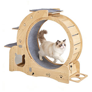 Rueda de Ejercicio 4 en 1 Ecológica de Lujo <span class=keywords><strong>para</strong></span> <span class=keywords><strong>Gatos</strong></span>, con Estructura de Espuma <span class=keywords><strong>para</strong></span> Escalar, <span class=keywords><strong>para</strong></span> Fitness y Rascado en Interiores - Product Image 2