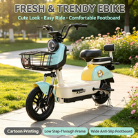 Bicicleta Eléctrica China de 350W/500W para Adultos, 48V, Batería de Plomo-Ácido, Dos Asientos, Scooter Eléctrico Urbano con Pedal