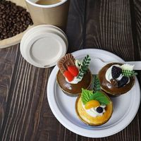 Assiette ronde jetable blanche élégante et durable de 10 pouces pour table à manger avec un design moderne et élégant Assiettes jetables pour dîner de Noël