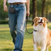 Nouveau produit transfrontalier noir en gros, personnalisé en usine, en silicone massif carré, étanche, portable, avec bouton, pour nourriture pour animaux de compagnie et dressage canin