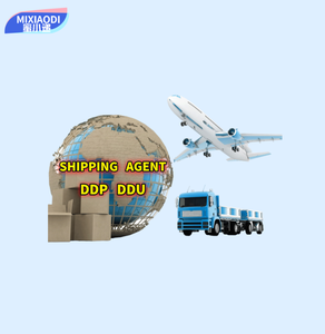 货运代理DDP/DDU从中国到澳大利亚加拿大，美国的海运和快递服务 - Product Image 1