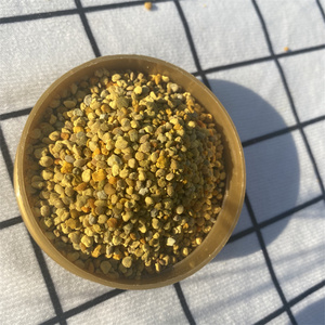 Polen de Abeja Mixto Orgánico de Alta Calidad al por Mayor de Fábrica de Alimentos Saludables - Product Image 6