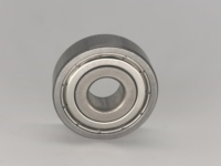 Rodamiento de Bolas de Ranura Profunda de Una Hilera de Acero Inoxidable AISI 420 S6200, 10x30x9mm, Precisión P0/P6, 2RS/ZZ, Sellado y Lubricado con Grasa
