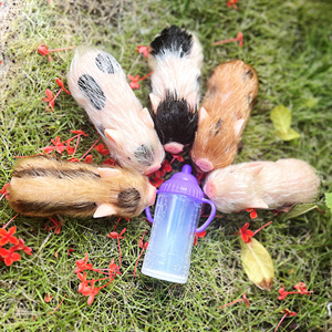 Muñecos de <span class=keywords><strong>Cerdo</strong></span> <span class=keywords><strong>Reborn</strong></span> de 4.3 Pulgadas, Silicona Suave, Realistas, Mini <span class=keywords><strong>Cerdo</strong></span>, Juguete Educativo de Animal Recién Nacido, Unisex - Product Image 4