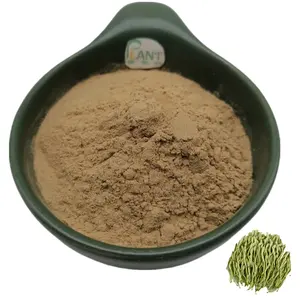 Factory Supplier Honeysuckle Flower Extract 5% Chlorogenic Acid Honeysuckle Extract