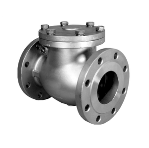 Van Kiểm Tra Swing Bằng Thép Không Gỉ Kết Nối Ren Và Mặt Bích - Product Image 1