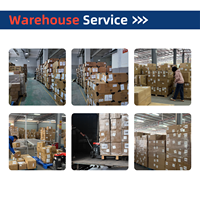 Meilleur agent maritime en Chine, transitaire DPS, service de dropshipping DDP de Chine vers le Royaume-Uni, les États-Unis, le Canada, le Mexique pour LCL+Express