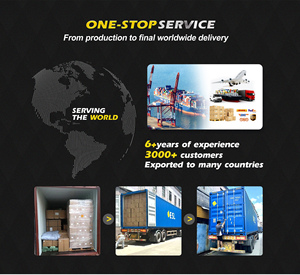 หัวเทียนอิริเดียม ZC20HPR11 PE5S-18-110สำหรับ M3มาสด้า M6 CX-3 CX-5 2.0L 2.5L PE5R18110 PE5R เทียนอัตโนมัติ18 110 - Product Image 5