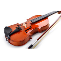 Wholesale Stringed Instruments Low Price Professional 4/4 Violin with Hard Case Rosin and Bow