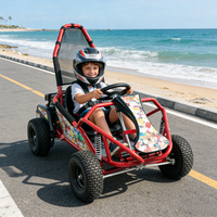 Go Kart de Carreras con Control Remoto Personalizable para Adultos y Niños, Velocidad Máxima de 25 km/h, Capacidad de Carga de 85 kg, para Parques de Diversiones