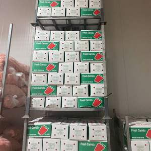 Vente en gros de carottes congelées du Vietnam avec un service après-vente de haute qualité et fiable OEM disponible - Product Image 5