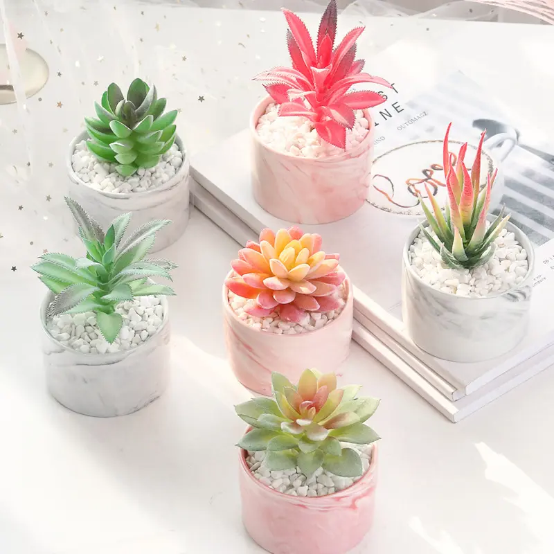 Hot Sale Artificial Mini Artificial Succulents Natural Bonsai Plant with Ceramic Pot