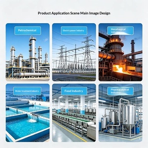 Instrument de mesure de niveau capacitif série FMI E+H Endress+Hauser, instrument de mesure d'interface, original, industriel, fabriqué en Chine - Product Image 6