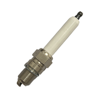 Bougies d'allumage industrielles de haute qualité remplacent les bougies d'allumage d'électrode d'iridium 69919D pour les moteurs de générateur de gaz Waukesha