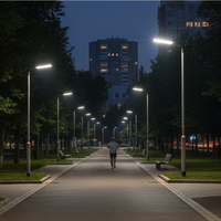 Farola LED para Exteriores de Gran Capacidad y Alta Estabilidad, Sistema Expandible