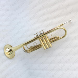 Trompeta de Latón Lacado en Oro de Buena Calidad al por Mayor, Instrumento Musical Económico - Product Image 2
