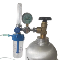 Pabrik langsung medis Male Outlet koneksi Bull hidung oksigen Regulator dengan aliran Meter oksigen Inhalator dengan botol Humidifier