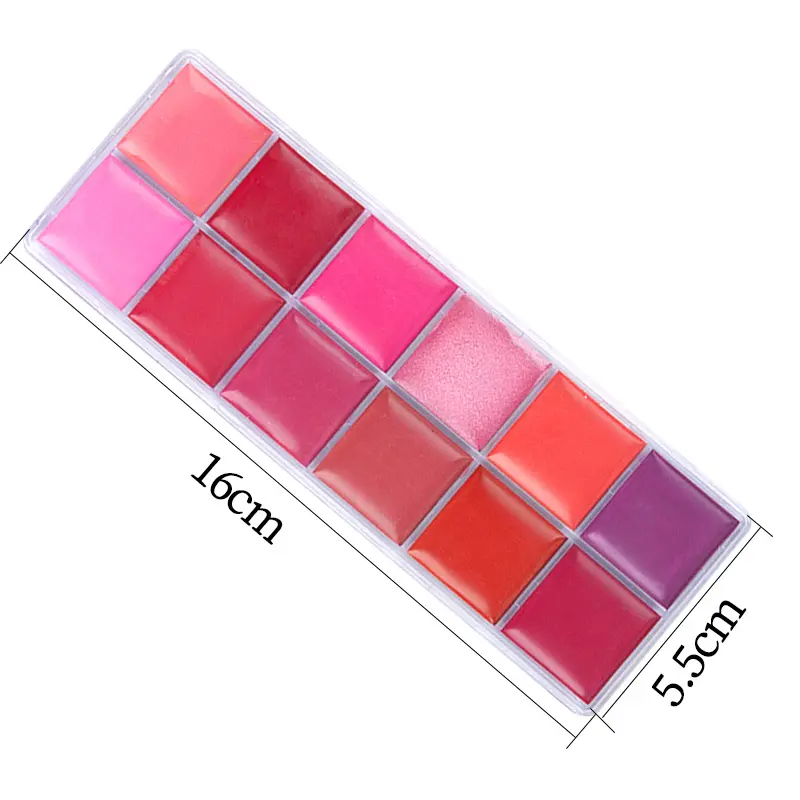 Private Label Clear Plastic Lip Palet Make-Up Set Waterdichte Crème Matte 12 Kleuren Lippenstift Palet