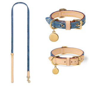 Conjunto de collar y correa de diseño para perros, accesorios de moda para mascotas, collar y correa ajustables, disponible en stock. - Product Image 1