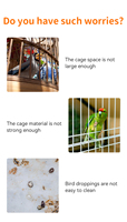 Mini cage à oiseaux en fil métallique, petite cage bleue pour pinsons, perruches, canaris, intérieur